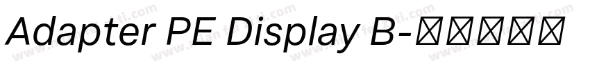 Adapter PE Display B字体转换